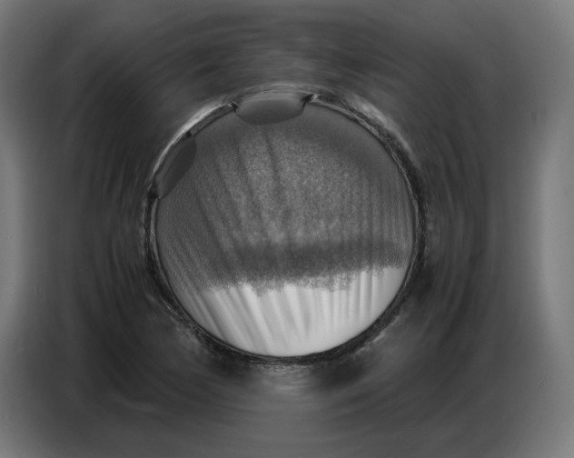 X0000086771170200705041502