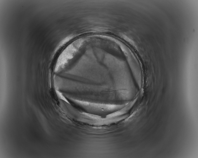 X0000086771171200705041502