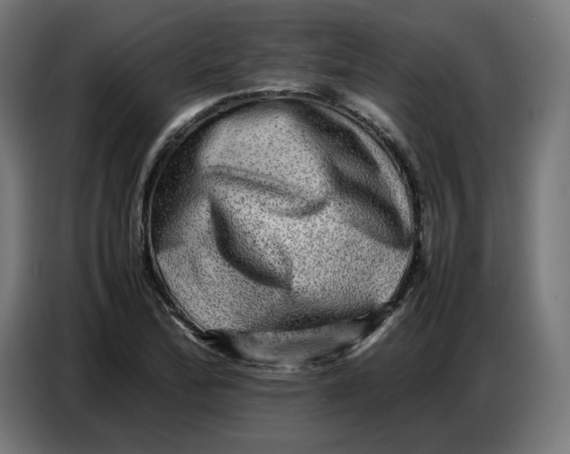 X0000086771172200705041502