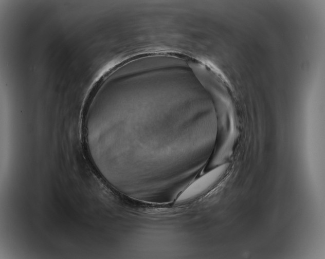 X0000086771173200705041502
