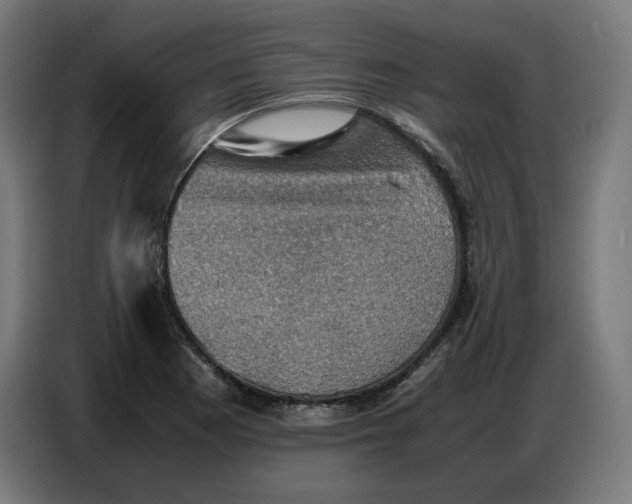 X0000086771177200705041502