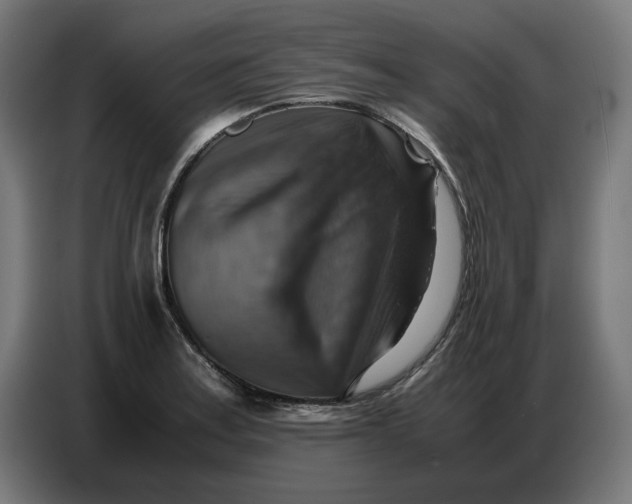X0000086771179200705041502