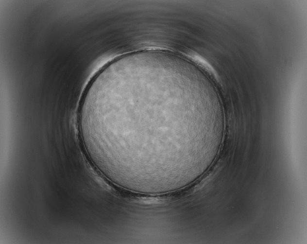 X0000086771182200705041502