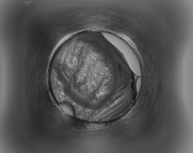 X0000086771183200705041502