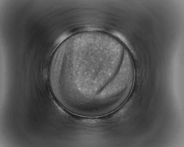 X0000086771185200705041502