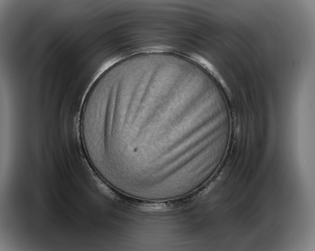 X0000086771186200705041502