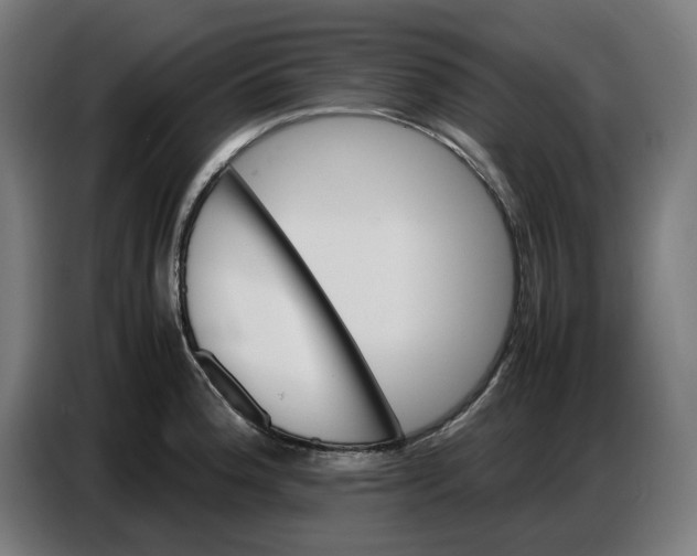 X0000086771188200705041502