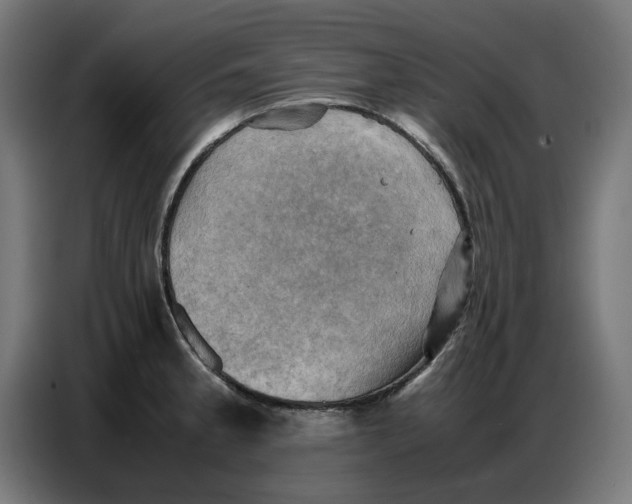 X0000086771189200705041502