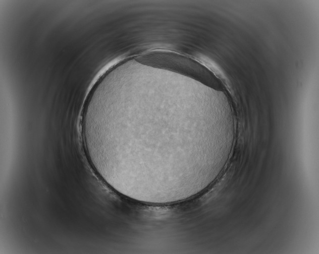 X0000086771190200705041502