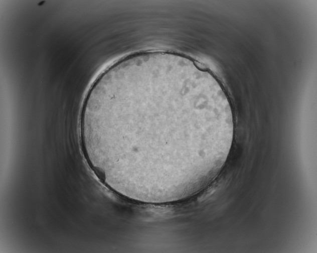 X0000086771191200705041502