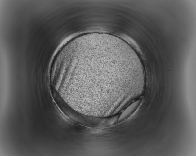 X0000086771192200705041502