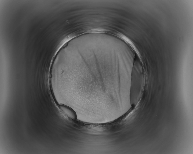 X0000086771194200705041502