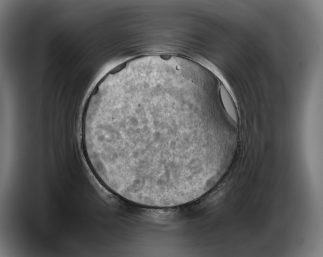 X0000086771195200705041502
