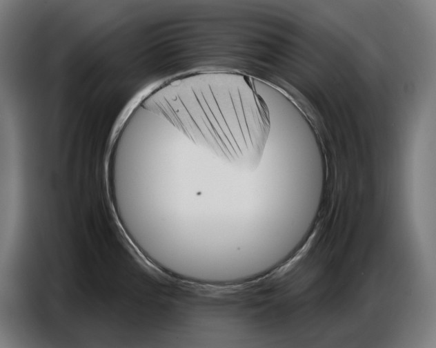 X0000086771196200705041502