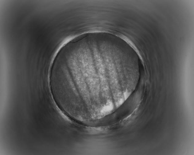 X0000086771197200705041502