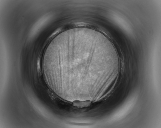 X0000086771198200705041502