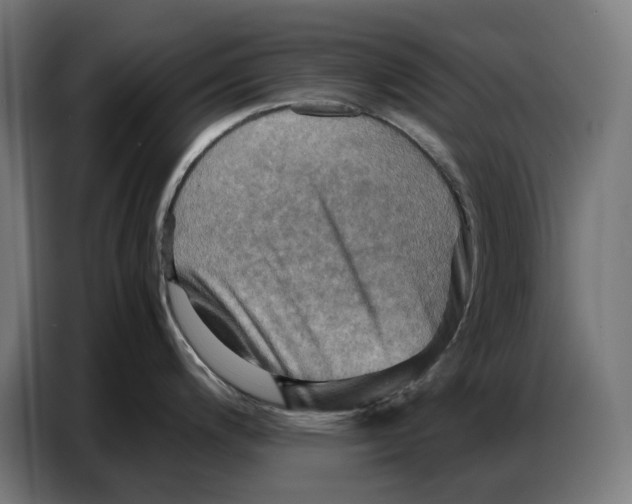 X0000086771200200705041502
