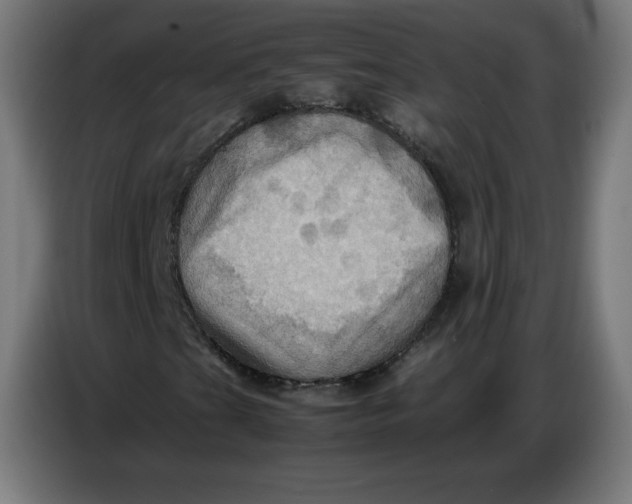 X0000086771201200705041501