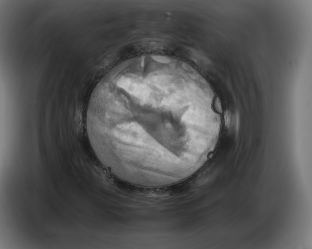 X0000086771203200705041501