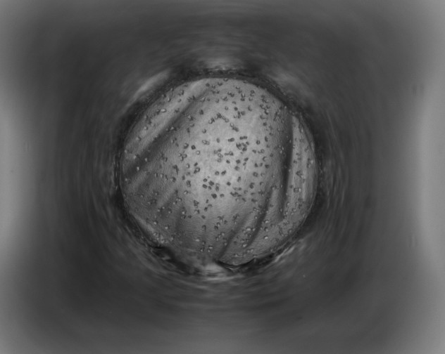 X0000086771205200705041501