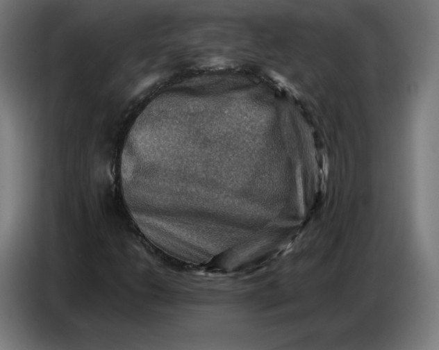 X0000086771206200705041501