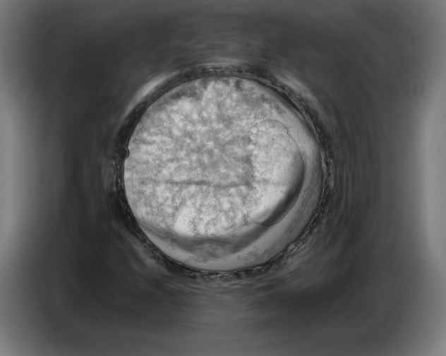 X0000086771208200705041501