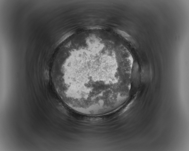 X0000086771209200705041501