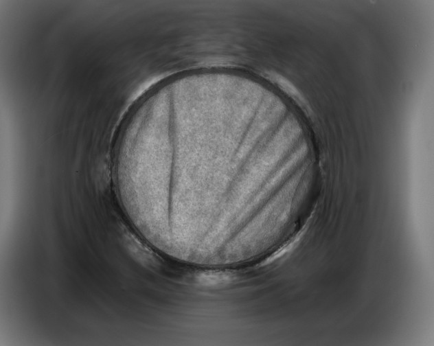 X0000086771212200705041501