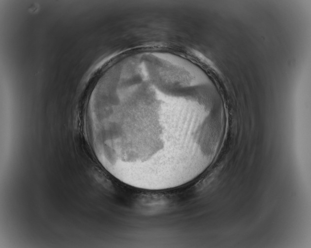 X0000086771215200705041501