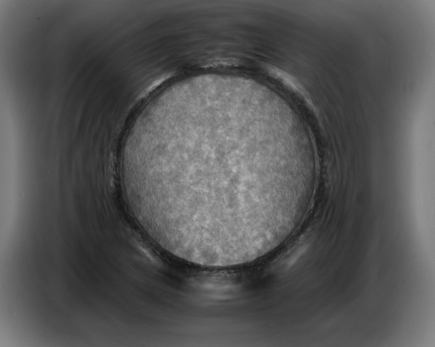 X0000086771217200705041501