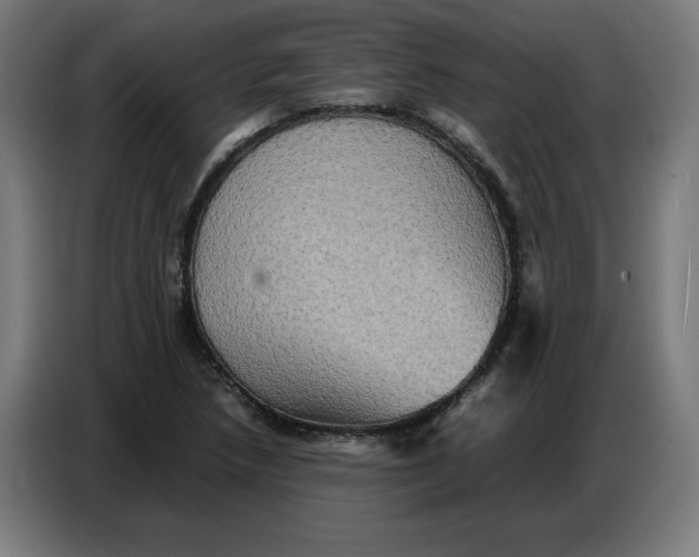X0000086771218200705041501