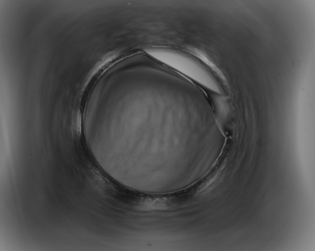 X0000086771221200705041501