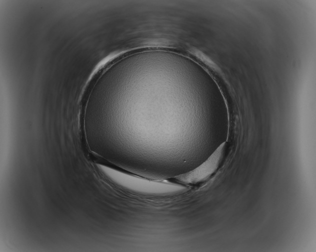 X0000086771222200705041501