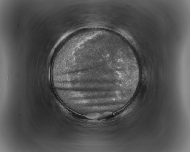 X0000086771224200705041501