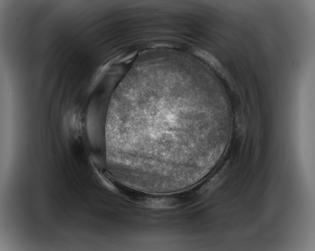 X0000086771225200705041501