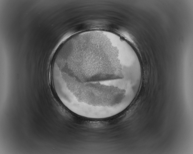 X0000086771227200705041501
