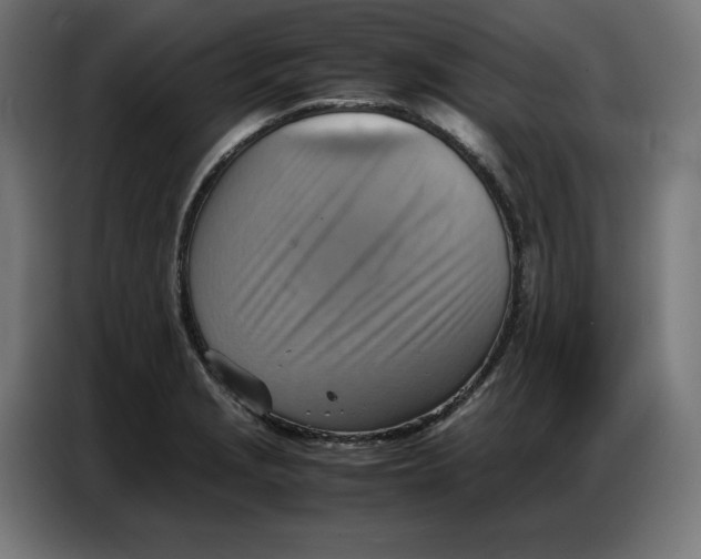 X0000086771229200705041501