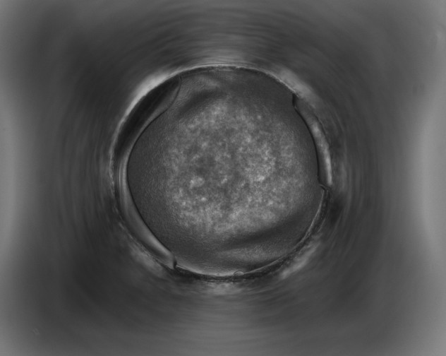 X0000086771230200705041501