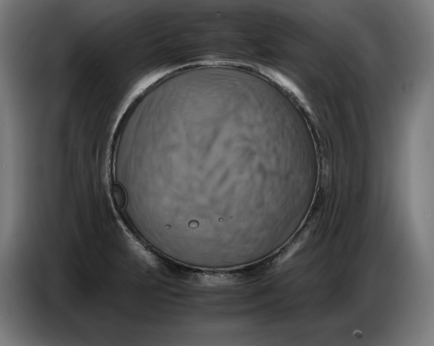 X0000086771231200705041501