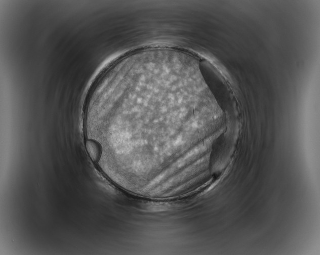 X0000086771232200705041501