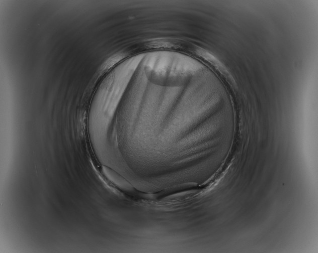 X0000086771233200705041501