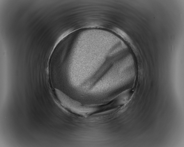 X0000086771234200705041501