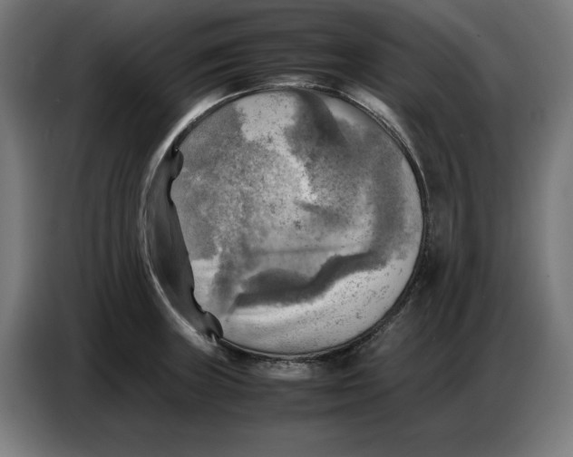 X0000086771235200705041501