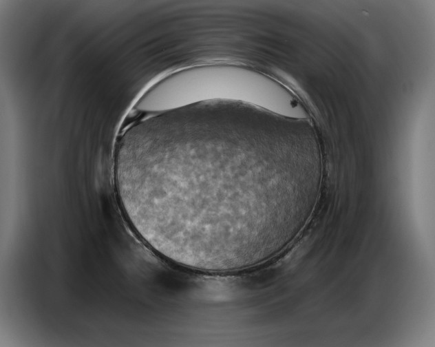 X0000086771236200705041501