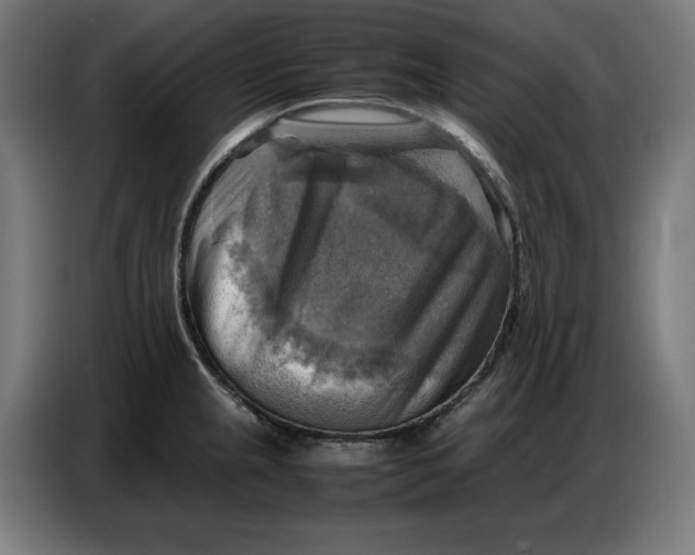 X0000086771237200705041501