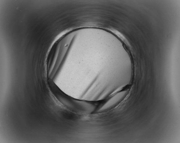 X0000086771238200705041501