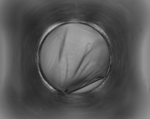 X0000086771239200705041501