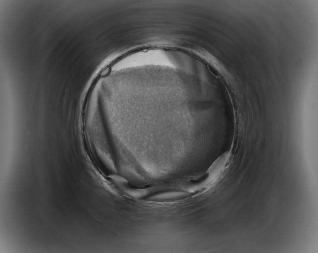 X0000086771240200705041501