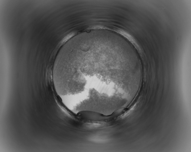 X0000086771241200705041501