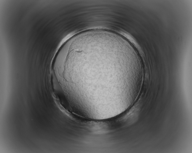 X0000086771242200705041501